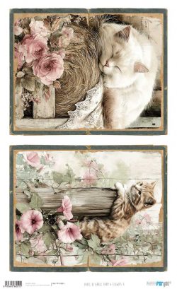 PFY-16051 - Papel Arroz 54x33 cm 25-30 gr. (Farm & Flowers X) - pack 6 ud.