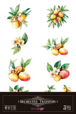 PFY-16074 - Decorative Transfers 20x30cm 8″x 12″ 3 Hojas (Mangos Mini) - pack 2 ud.