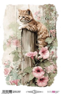 PFY-16119 - Thermo Transfers 20x30cm 8"x 12" 1 Hoja (Farm & Flowers Cats) - pack 3 ud.