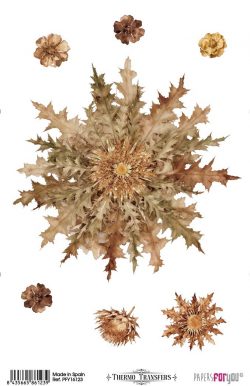 PFY-16123 - Thermo Transfers 20x30cm 8"x 12" 1 Hoja (Eguzkilore) - pack 3 ud.